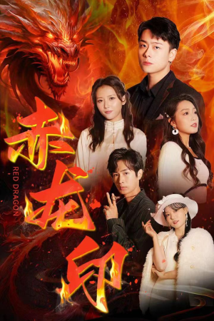 赤龙印（80集）零花钱看整部剧