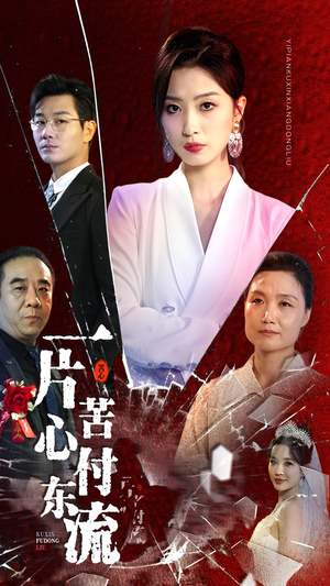 一片苦心付东流（80集）热播短剧全集看