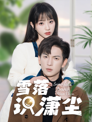 雪落识潇尘（80集）精彩短剧来了