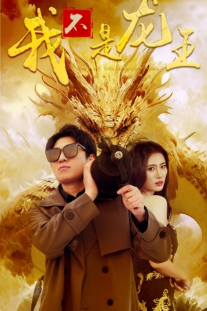 我不是龙王（80集）全集我都看完了