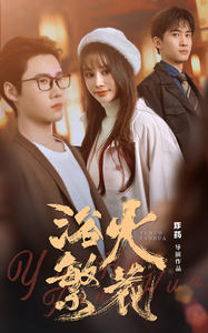 欲火繁花（83集）排行榜前十短剧