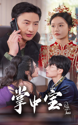 掌中宝（31集）好看的短剧