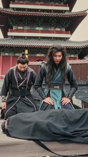 精忠报国（41集）贝贝短剧分享