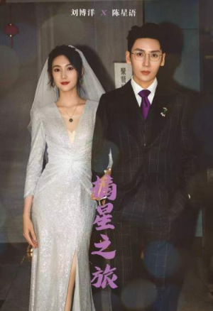 【摘星之旅】88集短剧在线免费观看