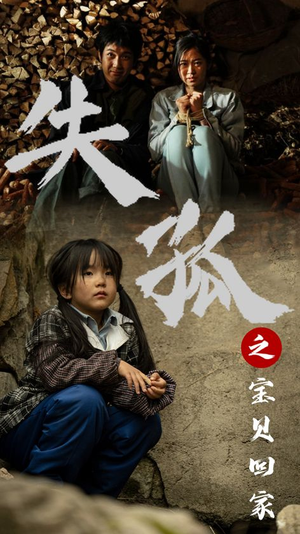 失孤之宝贝回家（71集）悬疑短剧推荐