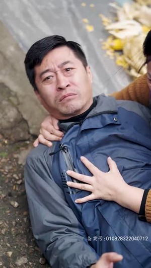 重启辉煌人生（70集）剧情简介