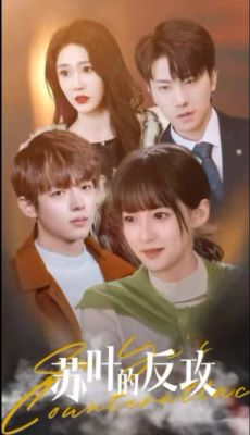 【苏叶的反攻】97集免费短剧在线全观看