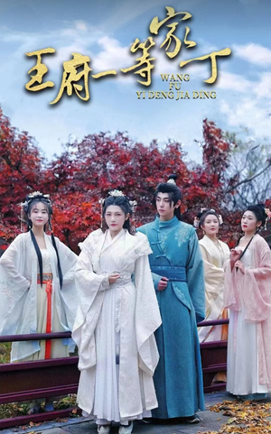 王府一等家丁（93集）直接看到大结局