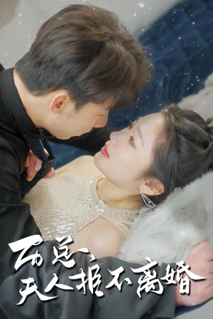 历总，夫人拒不离婚（61集）精彩的网络短剧