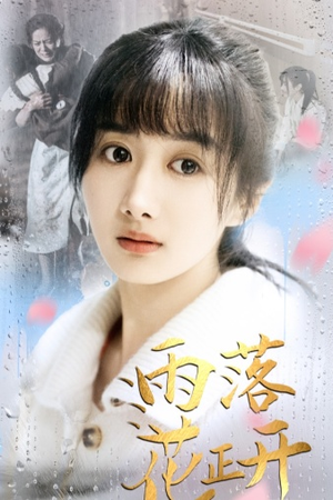 雨落花正开（62集）免费短剧就是爽