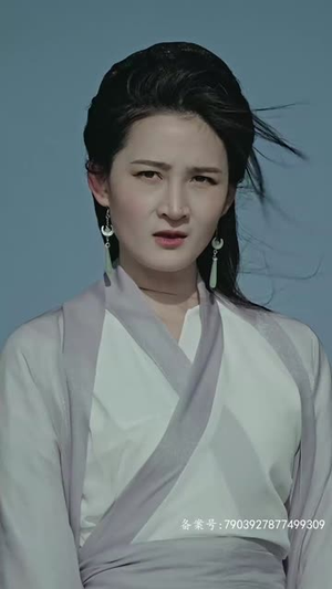 新版：至尊武圣（90集）免费观看完整版