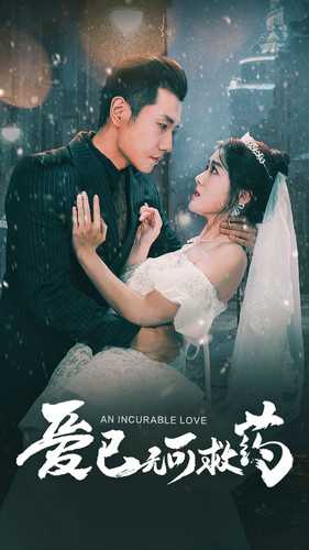 爱已无可救药（83集）经典老剧免费看