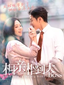 【相亲相到大boss】101集短剧免费全集畅览