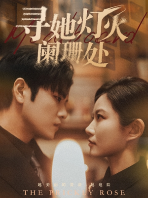 寻她灯火阑珊处（61集）全集下载