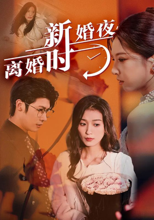 新婚夜，离婚时（35集）短剧全集免费看