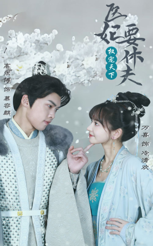 权宠天下：医妃要休夫（94集）分享好看短剧