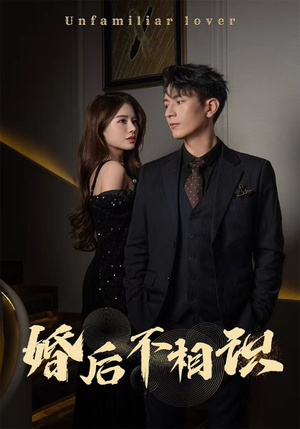 婚后不相识（100集）短剧小说在线看