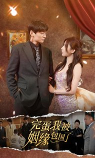 完蛋我被姻缘包围了（86集）免费观看完整版