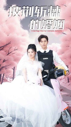 新版：披荆斩棘的婚姻（90集）在线观看全集