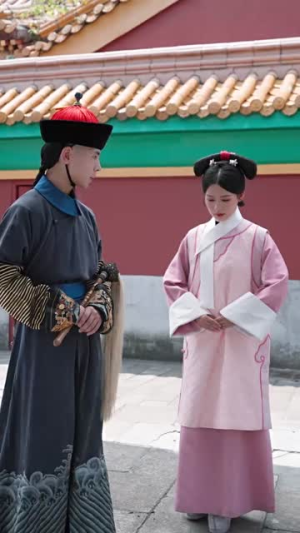 哑妃（108集）全剧看到大结局