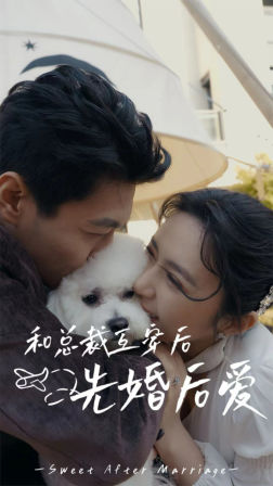 和总裁互穿后先婚后爱（60集）今日短剧分享