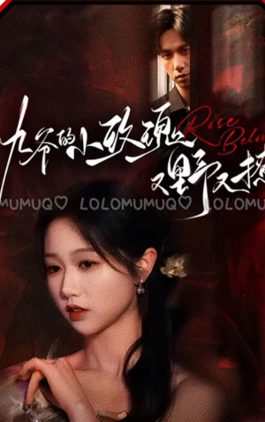 九爷的小玫瑰又野又撩（100集）在线观看完整版