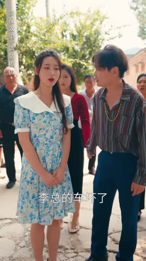 女总裁成凤归乡（80集）迅雷网盘观看