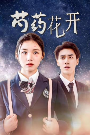 芍药花开（77集）短剧解说热门