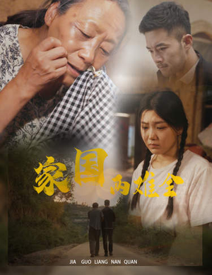 家国两难全(62集) 家国两难全(62集)在哪里看