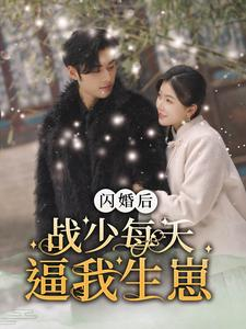 闪婚后战少每天逼我生崽（91集）短剧爆款推荐