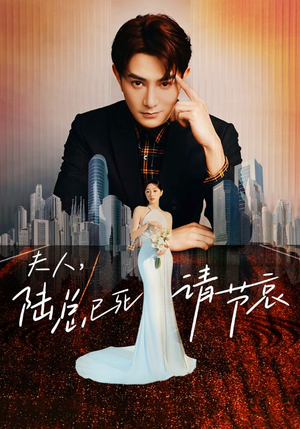 【夫人，陆总已死请节哀】95集免费短剧在线看全集