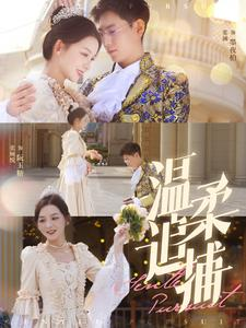 温柔追捕（89集）火爆短剧推荐