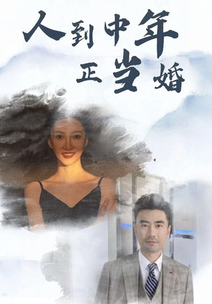 人到中年正当婚（81集）免费短剧合集
