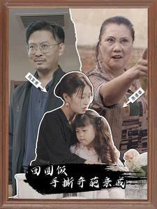 团圆饭手撕奇葩亲戚（40集）悬疑短剧推荐