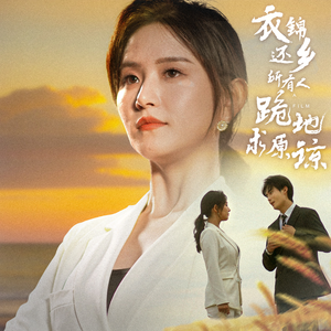 衣锦还乡，所有人跪地求原谅（40集）全集一网打尽