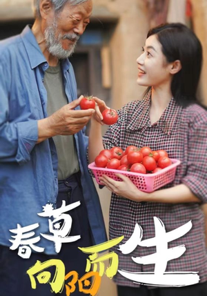 春草向阳而生（53集）甜宠短剧推荐