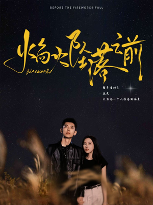 焰火坠落之前（99集）最火短剧热播中