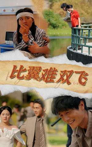 比翼难双飞（30集）免费看全集