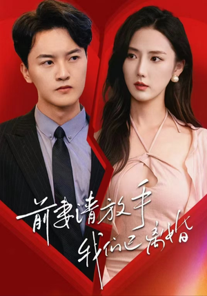 前妻请放手，我们已离婚（86集）上热门短剧