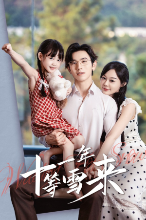 十一年等雪来（50集）快来看短剧