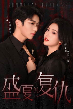 盛夏的复仇（63集）免费看