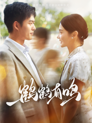 鹤鹤有鸣（87集）爆款短剧一起追