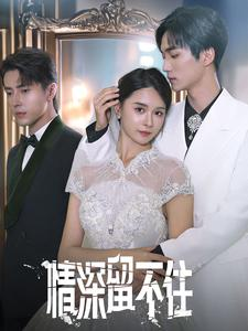 情深留不住（80集）红果免费短剧