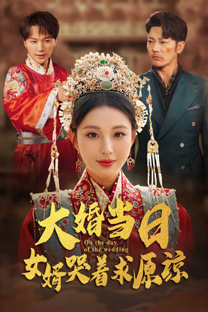 大婚当日，女婿哭着求原谅（31集）哪个短剧网能看