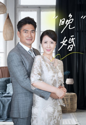 晚婚(65集) 晚婚(65集)完整版
