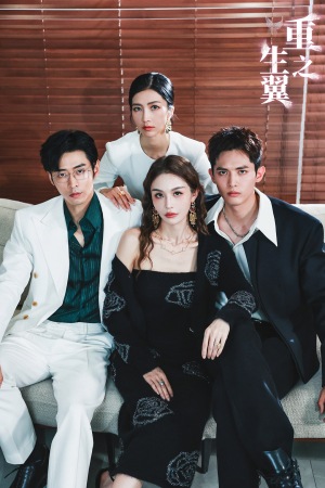 重生之翼（56集）零花钱看整部剧