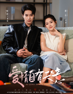 爱情自有天意（60集）免费观看全集