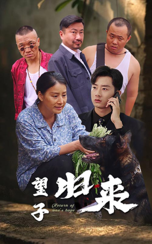 望子归来（50集）爆火短剧抢先看