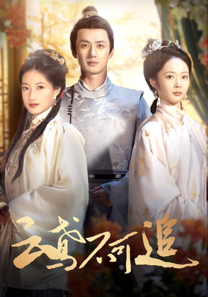 云鸢不可追（42集）最火的短剧