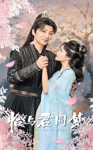 恰与君同梦（55集）一共多少集